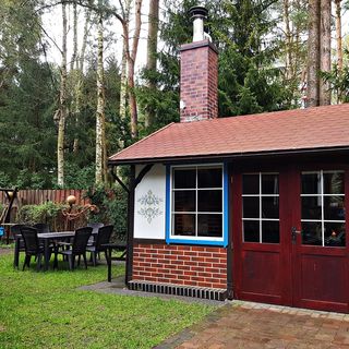 Konik Morski Dębki (3)