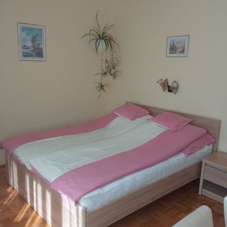 Akác Vendégház Eger (5)