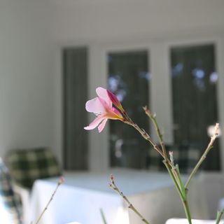 Villa Gabriella Siófok (5)