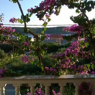 Apartmanok A Tenger Mellett Barbat, Rab - 17620 Barbat (4)