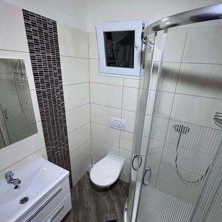 Minihotel Vitex Praha (5)