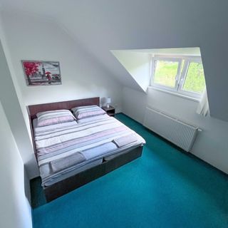 Minihotel Vitex Praha (4)