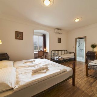 Penzion Zámek Lešany (4)