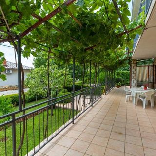 Apartmani Filipovic Novi Vinodolski (5)