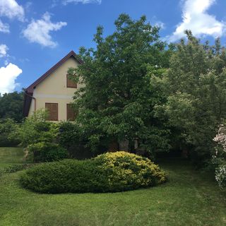 Iris Vendégház Tihany (5)