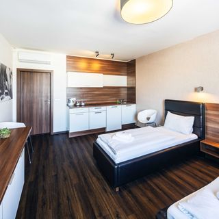 Penzion v jízdárně Olomouc (5)