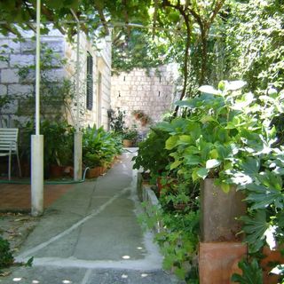 Apartmanok A Tenger Mellett Dubrovnik - 18908 (5)