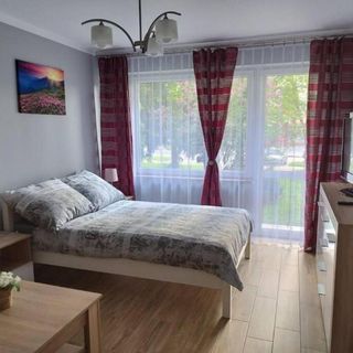 Apartament Katrin House II Oświęcim (5)