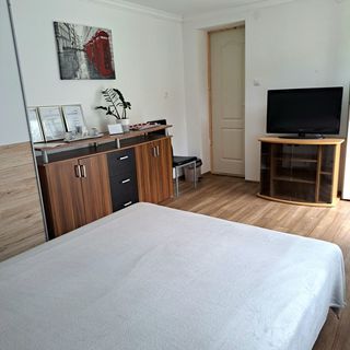 Szent László Apartman Szeged (5)
