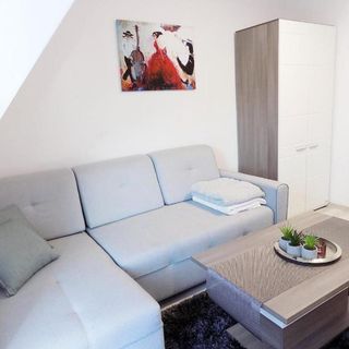 Zakopane Apartament Pardałówka (5)