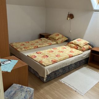 Rózsás Apartman 2 Hajdúszoboszló (5)