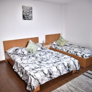 Casa Trandafirilor Călimăneşti (5)