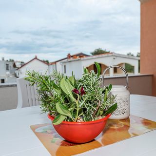 Apartment Simic Vir (3)