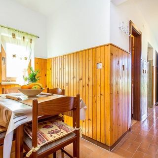 Snjezana Stinjan (3)