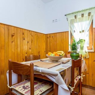 Snjezana Stinjan (4)