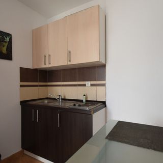 Apartments Mikec Malinska II (3)