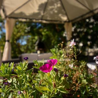 Apartmanok és Szobák Parkolóhellyel Palit, Rab - 21755 Palit (3)