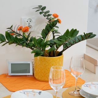 Obrońców Westerplatte 9/7 m.38 (5)