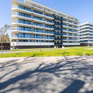 Apartament Natural 110 (5)