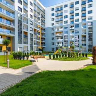 Świerzawska 4/31 (5)