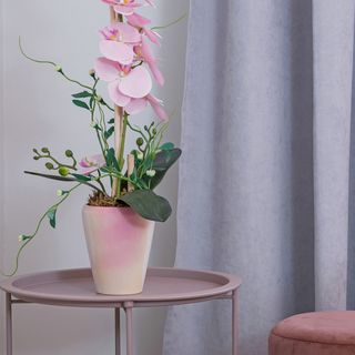 Chodkiewicza 3/5 (4)