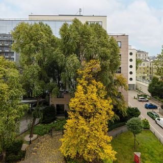 Wspólna 52/54 m.11 (5)