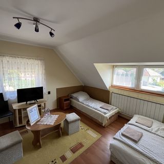 Aranybakancs Vendégház & Bisztró Cserhátsurány (5)