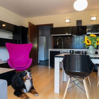 Apartamenty Centrum Wisła (5)