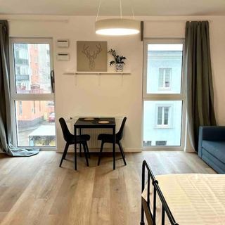 Targowa Charming Studio 32 (5)