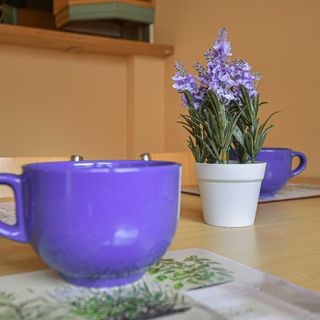 Apartmány Ados Harrachov (5)