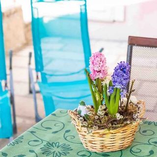 Apartmanok A Tenger Mellett Cavtat, Dubrovnik - 23017 Cavtat (5)