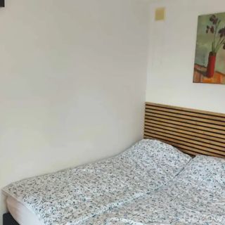 Noclegi Albero Szczebrzeszyn (5)