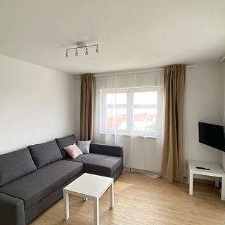 Apartmanok Parkolóhellyel Barbat, Rab - 22863 Barbat (4)