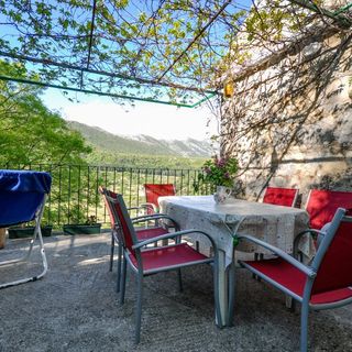 Apartment Nature Slime (3)