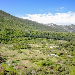 Apartment Nature Slime (4)