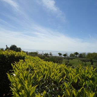 Apartment BILJANA Savudrija (3)