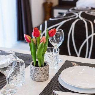 Németh Apartmanok Sárvár (4)