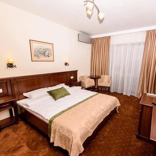 Pensiunea Alex&Restaurant Eșelnița (5)