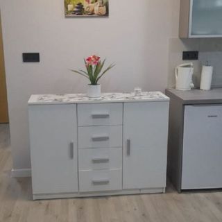 Apartment T & P Krapina (5)