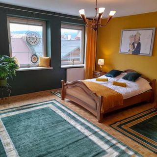 Apartament Centrum Nowy Targ (5)