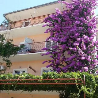 Apartmanok Parkolóhellyel Makarska - 24071 (3)