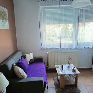 Apartmanok Parkolóhellyel Vukovar, Slavonija - 24797 Vukovar (3)