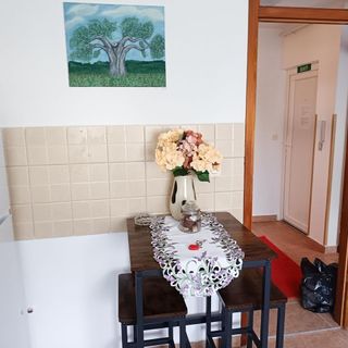 Apartmanok Parkolóhellyel Vukovar, Slavonija - 24797 Vukovar (5)