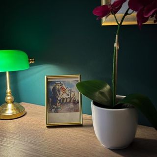 Hotel Coco Timișoara (5)