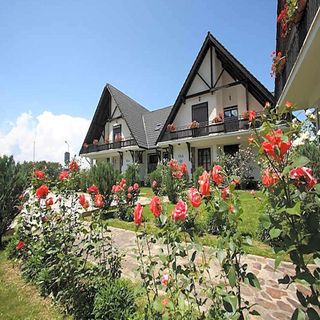 Vile Milana M Residence Poiana Brașov (5)