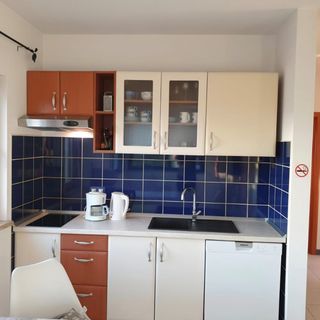 Apartment Adri Rovinj II (5)