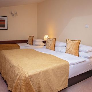 Fleur De Lis Hotel (5)