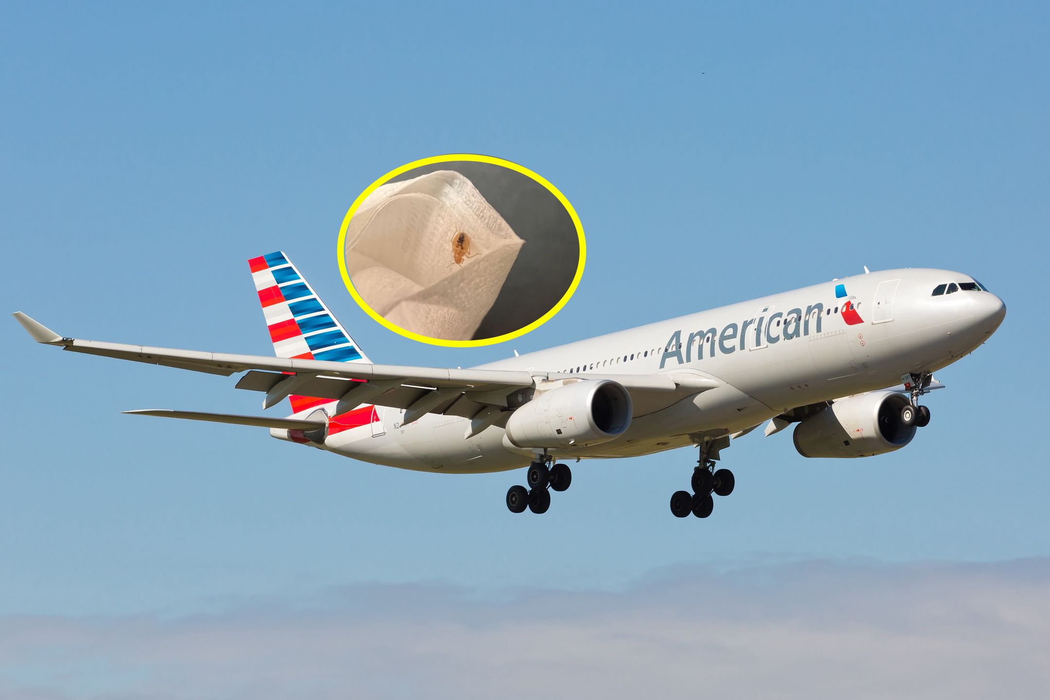 Bedbug horror on American airlines Firstclass passenger's nightmare