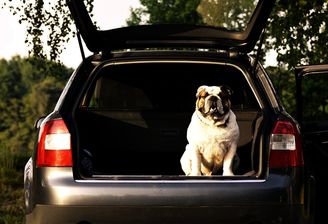 Samochód rodzinny na każdą kieszeń