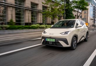 BYD Dolphin Surf